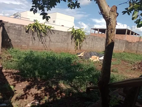 Comprar Terreno / Padrão em Santo Antônio da Alegria R$ 80.000,00 - Foto 3