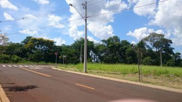 Comprar Terreno / Padrão em Bonfim Paulista R$ 175.000,00 - Foto 4