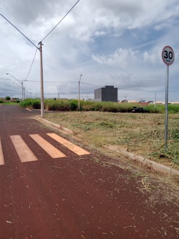 Comprar Terrenos / Padrão em Ribeirão Preto R$ 260.000,00 - Foto 6