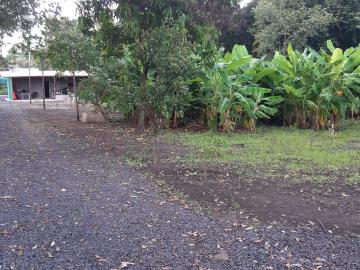 Comprar Casa / Chácara - Rancho em Serrana R$ 1.015.000,00 - Foto 42