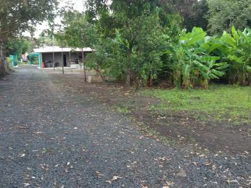 Comprar Casa / Chácara - Rancho em Serrana R$ 1.015.000,00 - Foto 45