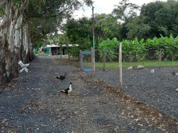 Comprar Casa / Chácara - Rancho em Serrana R$ 1.015.000,00 - Foto 48