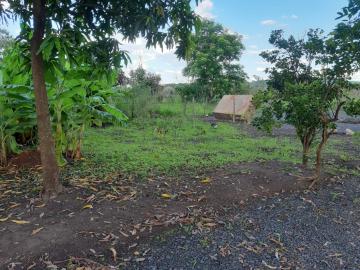 Comprar Casa / Chácara - Rancho em Serrana R$ 1.015.000,00 - Foto 51