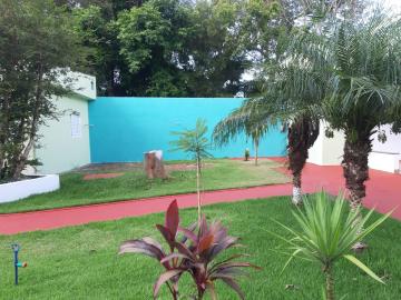 Comprar Casa / Chácara - Rancho em Serrana R$ 1.015.000,00 - Foto 66