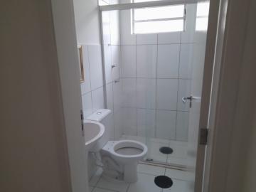 Alugar Apartamentos / Padrão em Ribeirão Preto R$ 800,00 - Foto 13