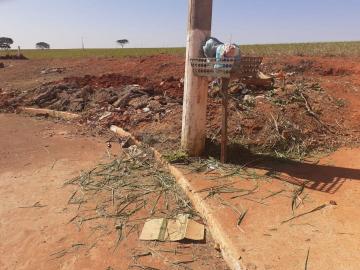 Terreno / Padrão em Guariba Alugar por R$0,00