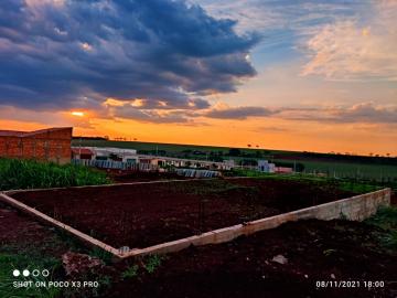 Comprar Terreno / Padrão em Ribeirão Preto R$ 110.000,00 - Foto 3