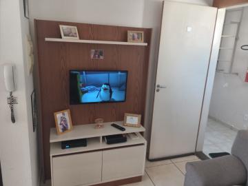Comprar Apartamento / Padrão em Ribeirão Preto R$ 181.000,00 - Foto 1