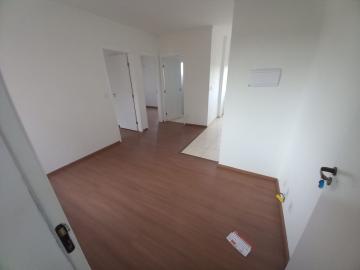 Apartamento / Padrão em Ribeirão Preto Alugar por R$700,00