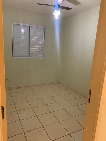 Alugar Apartamento / Padrão em Ribeirão Preto R$ 600,00 - Foto 6