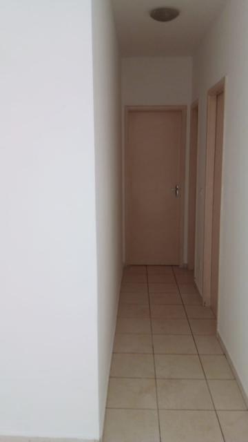 Alugar Apartamento / Padrão em Ribeirão Preto R$ 900,00 - Foto 5