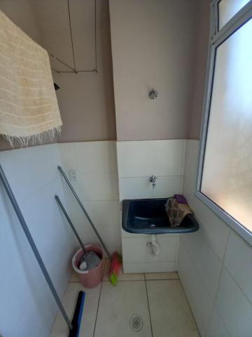 Alugar Apartamento / Padrão em Ribeirão Preto R$ 800,00 - Foto 3