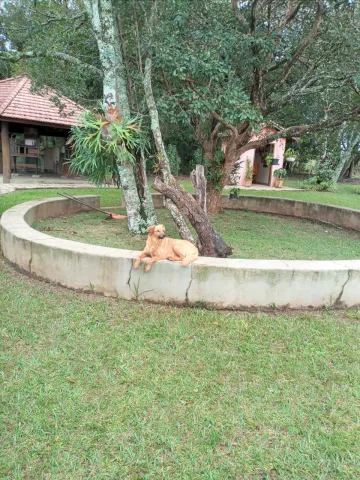 Comprar Casa / Chácara - Rancho em Cássia dos Coqueiros R$ 1.500.000,00 - Foto 14