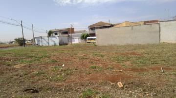 Comprar Terreno / Padrão em Sertãozinho R$ 350.000,00 - Foto 2