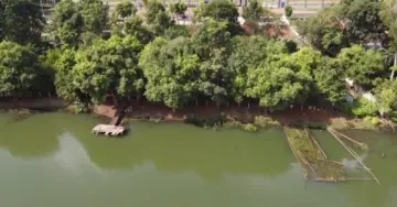 Comprar Terreno / Condomínio em Ribeirão Preto R$ 520.000,00 - Foto 3