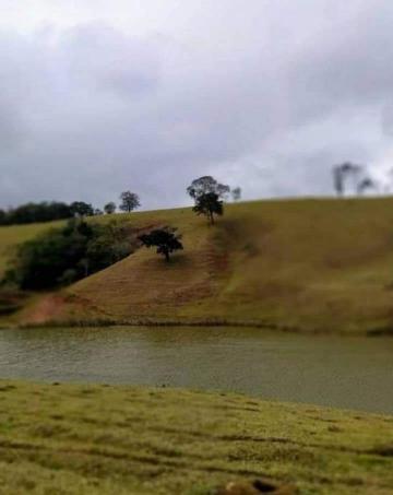 Comprar Rural / Fazenda em Cunha R$ 8.000.000,00 - Foto 5