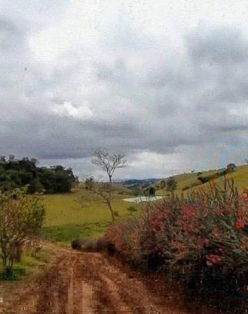 Comprar Rural / Fazenda em Cunha R$ 8.000.000,00 - Foto 6