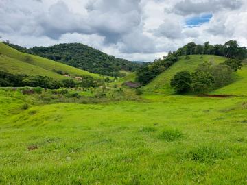 Comprar Rural / Fazenda em Cunha R$ 2.250.000,00 - Foto 18