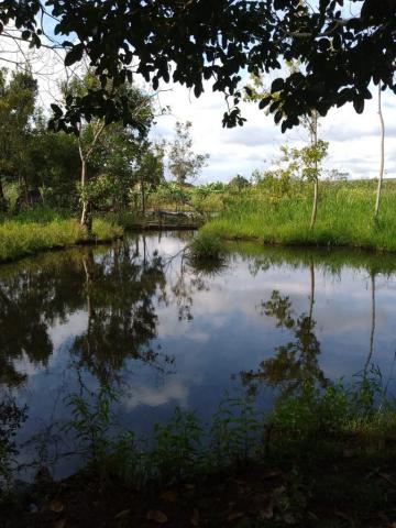 Comprar Rural / Fazenda em Cravinhos R$ 850.000,00 - Foto 16