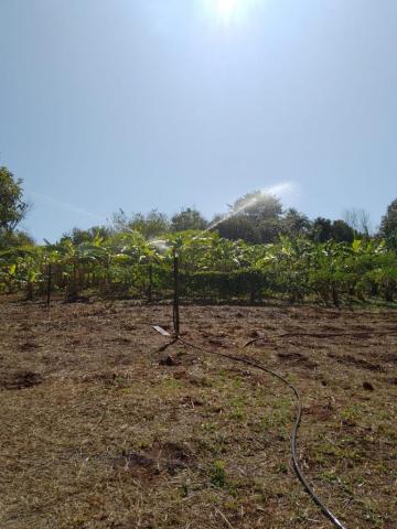 Comprar Rural / Fazenda em Cravinhos R$ 850.000,00 - Foto 4