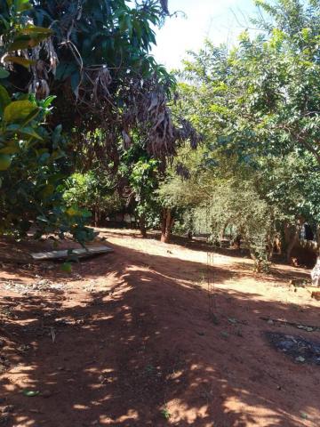 Comprar Rural / Fazenda em Cravinhos R$ 850.000,00 - Foto 5