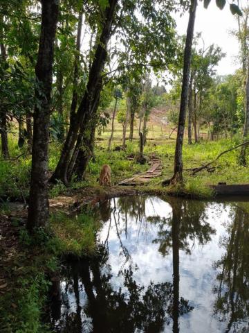 Comprar Rural / Fazenda em Cravinhos R$ 850.000,00 - Foto 13