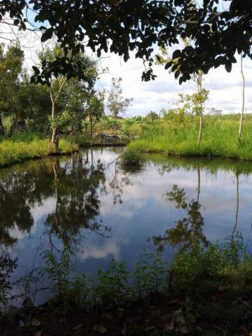 Comprar Rural / Fazenda em Cravinhos R$ 850.000,00 - Foto 15