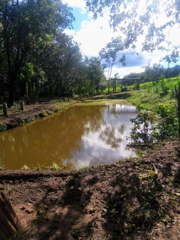 Comprar Rural / Fazenda em Cravinhos R$ 850.000,00 - Foto 20