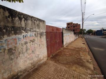 Terreno / Padrão em Jardinópolis 