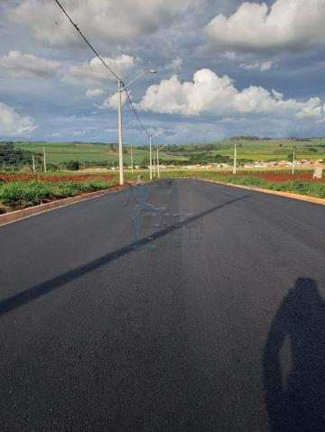 Comprar Terreno / Padrão em Bonfim Paulista R$ 165.000,00 - Foto 2