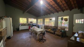 Comprar Rural / Fazenda em Dumont R$ 440.000,00 - Foto 6