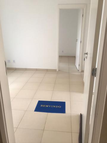 Alugar Apartamento / Padrão em Sertãozinho R$ 800,00 - Foto 1