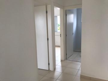 Alugar Apartamento / Padrão em Sertãozinho R$ 800,00 - Foto 5