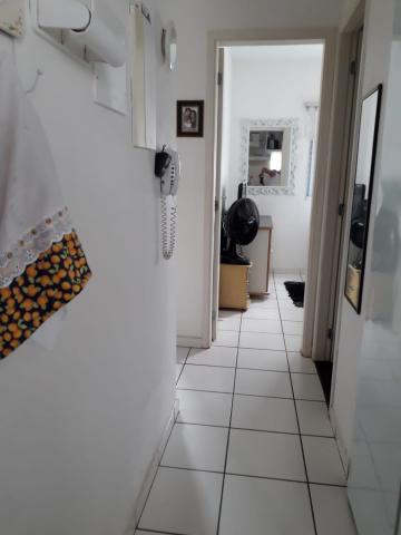 Alugar Apartamento / Padrão em Ribeirão Preto R$ 990,00 - Foto 4