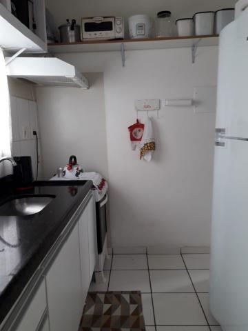 Alugar Apartamento / Padrão em Ribeirão Preto R$ 990,00 - Foto 7