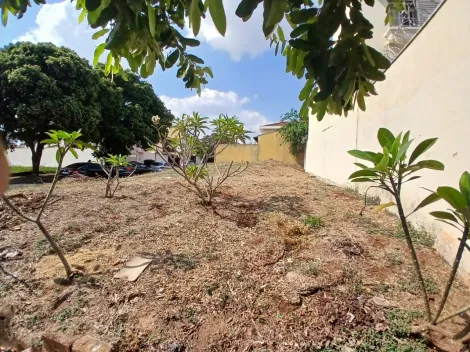 Comprar Terreno / Padrão em Ribeirão Preto R$ 400.000,00 - Foto 9