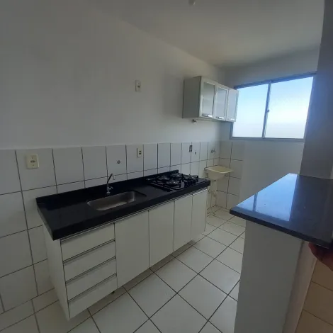 Alugar Apartamento / Padrão em Ribeirão Preto R$ 1.250,00 - Foto 12