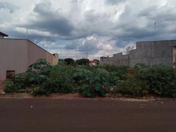 Terreno / Padrão em Jardinópolis 