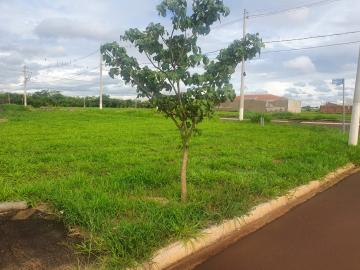 Comprar Terreno / Padrão em Sertãozinho R$ 210.000,00 - Foto 4