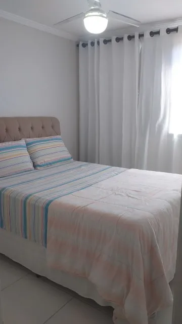 Alugar Apartamentos / Padrão em Ribeirão Preto R$ 550,00 - Foto 13