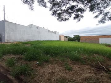 Comprar Terreno / Padrão em Sertãozinho R$ 130.000,00 - Foto 2