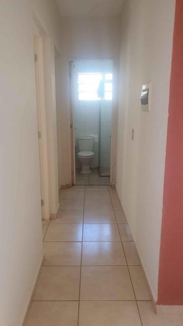 Comprar Apartamento / Padrão em Ribeirão Preto R$ 141.000,00 - Foto 5