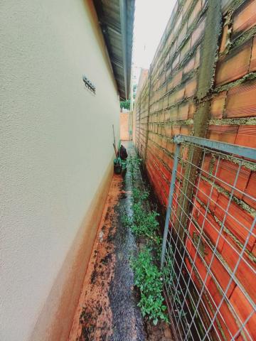 Alugar Casa / Padrão em Ribeirão Preto R$ 950,00 - Foto 11