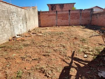 Comprar Terreno / Padrão em Pradópolis - Foto 2