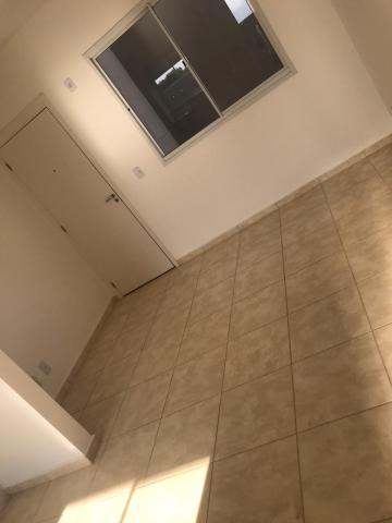 Apartamento / Padrão em Ribeirão Preto 