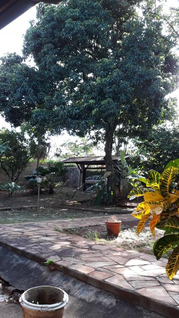 Comprar Casa / Chácara - Rancho em Jardinópolis R$ 750.000,00 - Foto 10