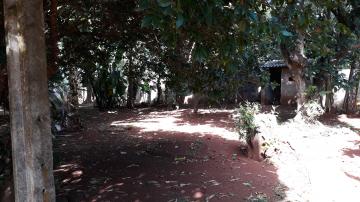 Comprar Casa / Chácara - Rancho em Jardinópolis R$ 750.000,00 - Foto 12