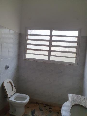 Alugar Casa / Padrão em Ribeirão Preto R$ 3.500,00 - Foto 10