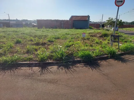 Alugar Terreno / Padrão em Sertãozinho R$ 1.400,00 - Foto 4