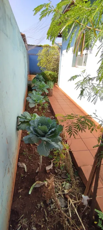 Alugar Casa / Padrão em Ribeirão Preto R$ 5.500,00 - Foto 10